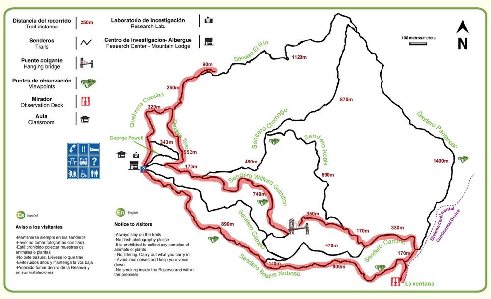 a-self-guided-hike-in-the-monteverde-cloud-forest-reserve