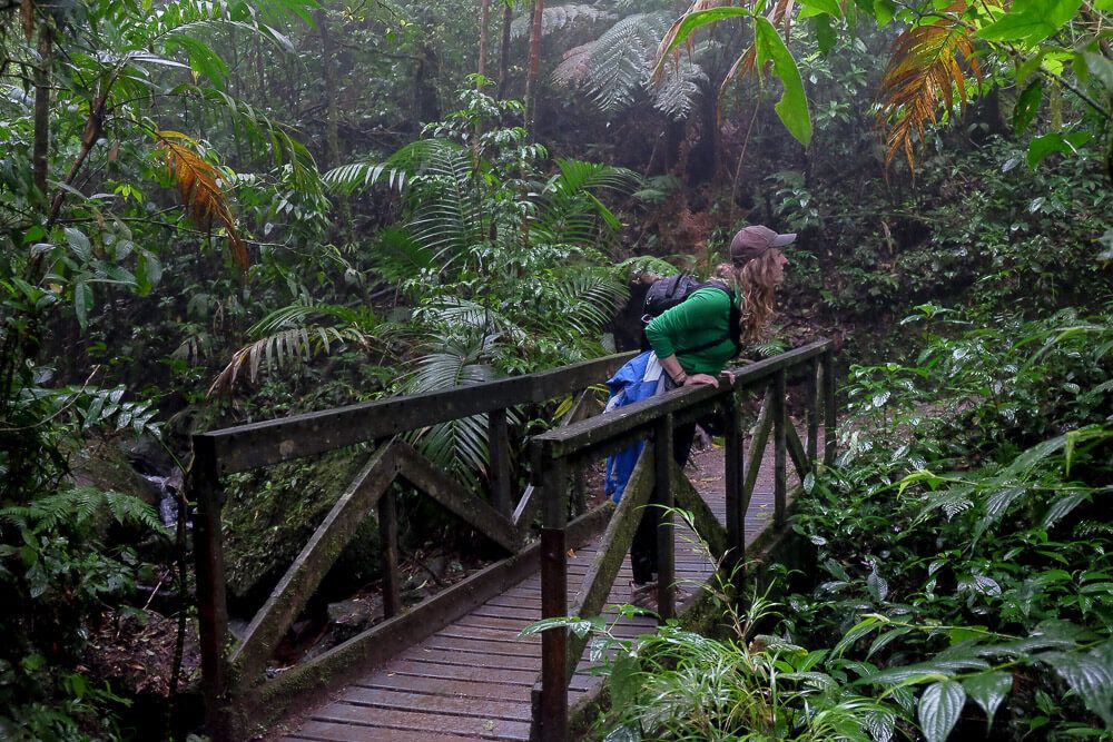 a-self-guided-hike-in-the-monteverde-cloud-forest-reserve