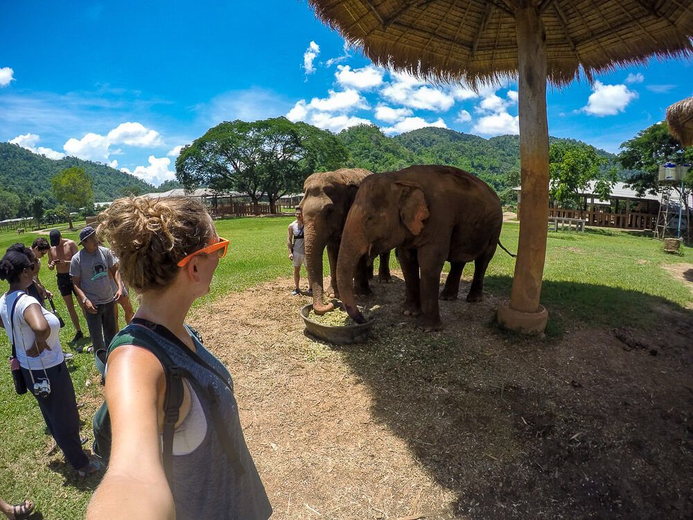 What To Expect From Elephant Nature Park Overnight Trip