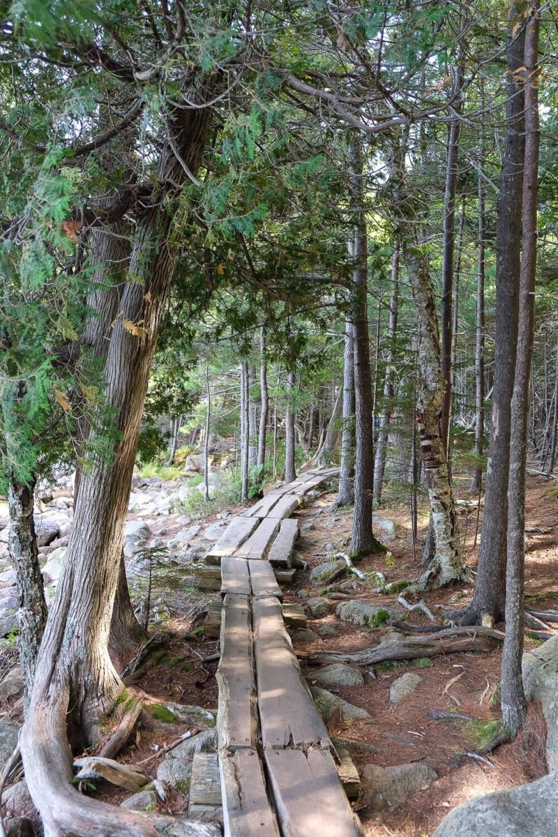 5 Awesome Trails: The Best Hikes in Acadia National Park