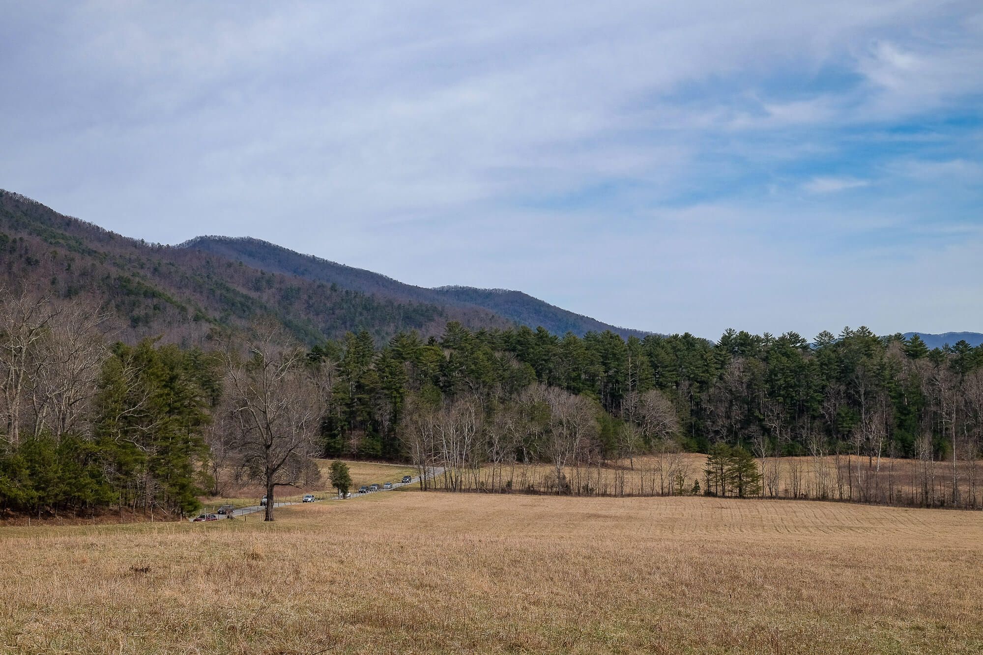 Driving the Cades Cove Loop Road What You Need To Know