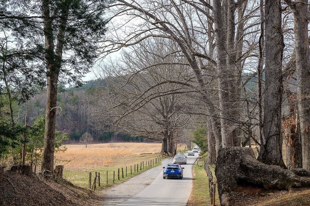 Driving the Cades Cove Loop Road What You Need To Know