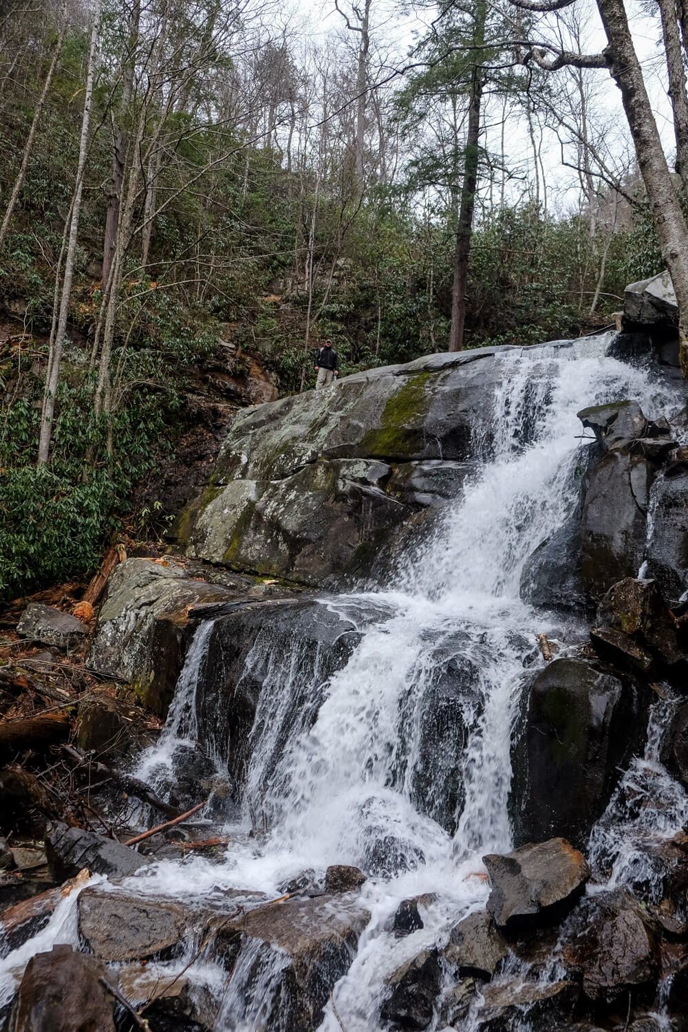 Hike The Laurel Falls Trail In The Smoky Mountains