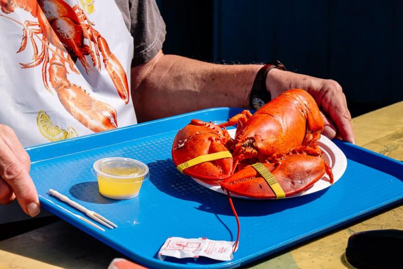 The Best Bar Harbor Lobster Pounds For Your Trip