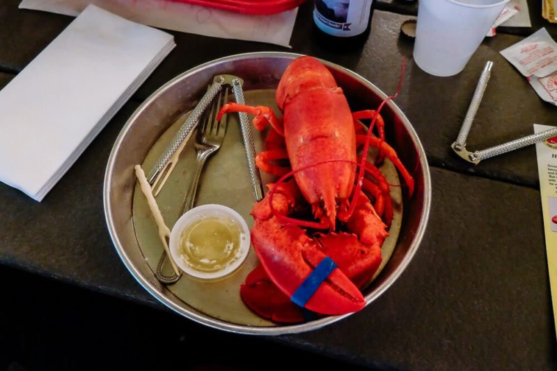 The Best Bar Harbor Lobster Pounds For Your Trip