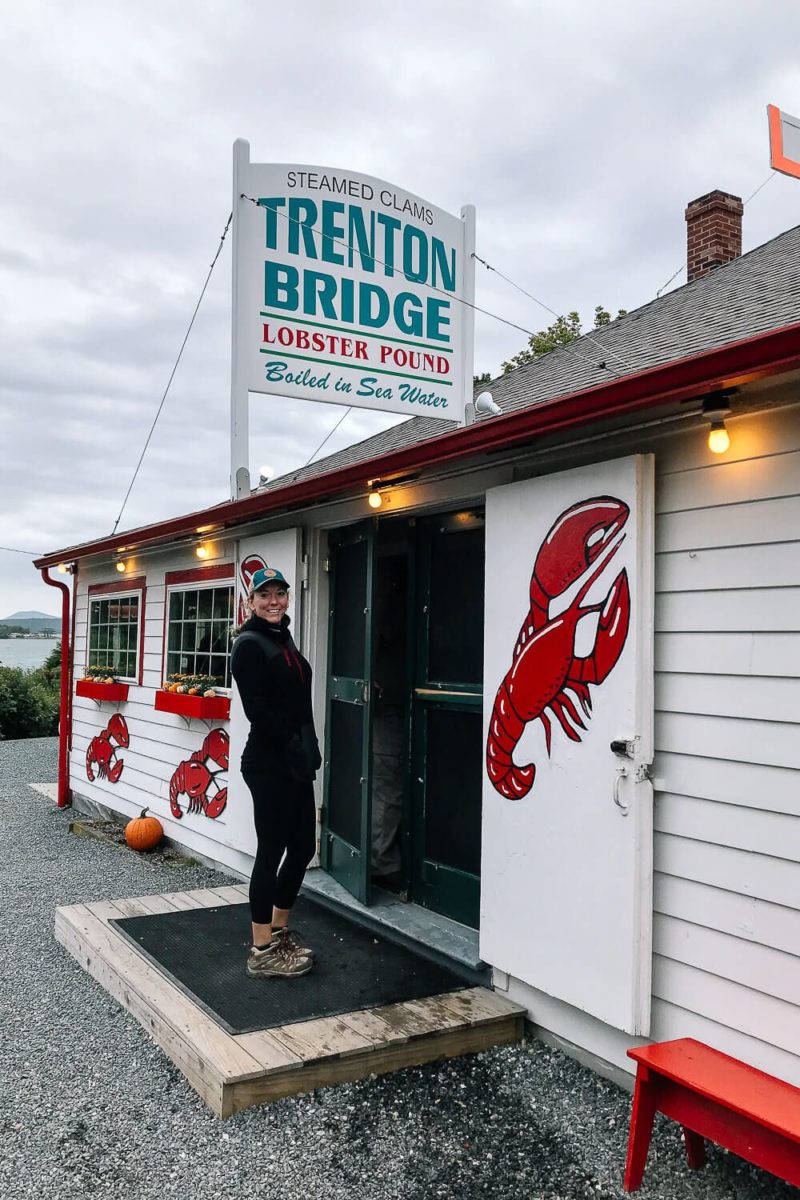 lobster tour in bar harbor