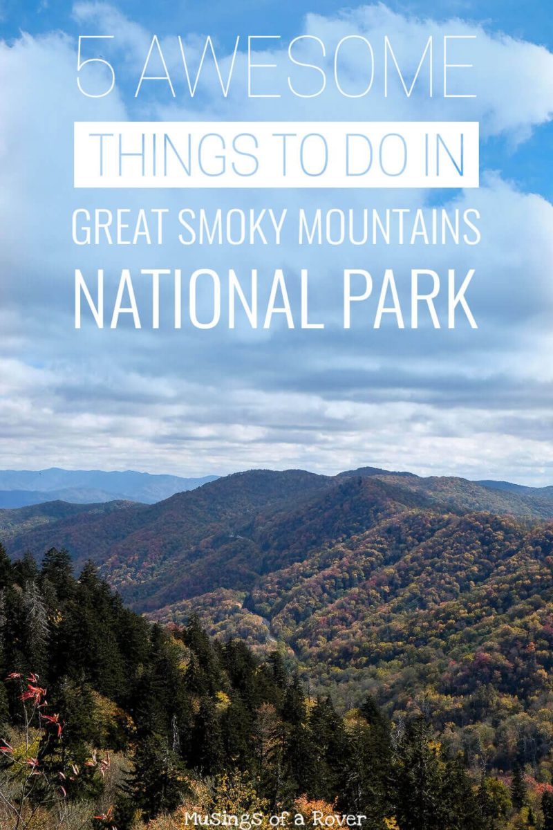 5 Awesome Things to Do in Great Smoky Mountains National Park