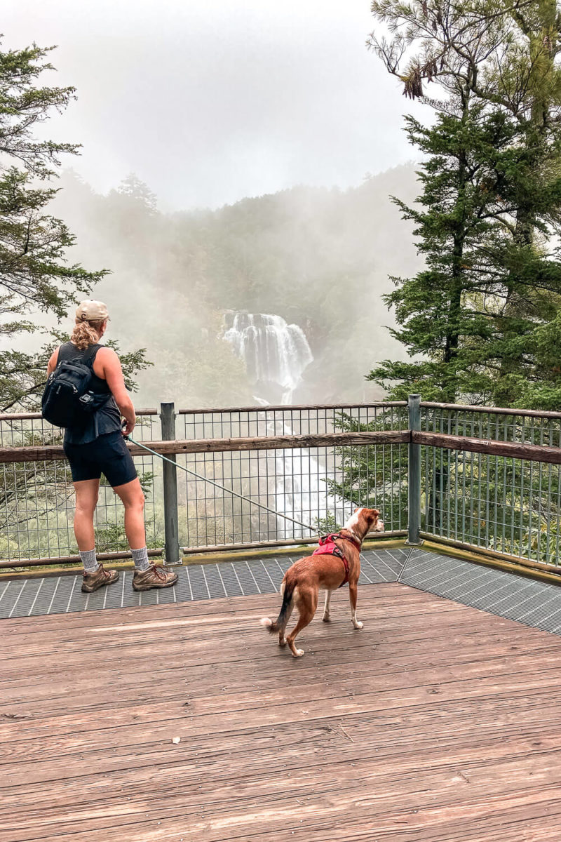 Hiking the Whitewater Falls Trails [Upper & Lower Trail Guide]