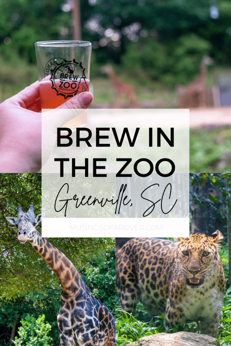 Craft Beer Tasting at Greenville's Brew in the Zoo [Review]