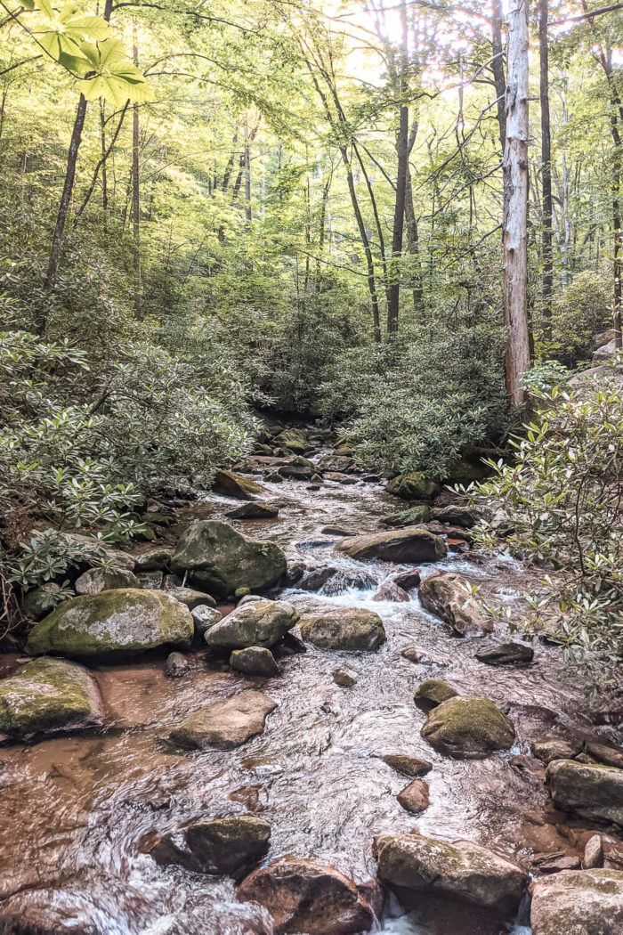 Hike to the Jones Gap Waterfall in Jones Gap State Park [Trail Guide]