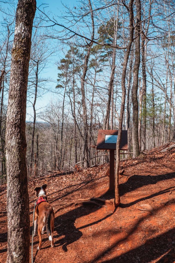 Hike The Raven Rock Loop [Trail Guide]