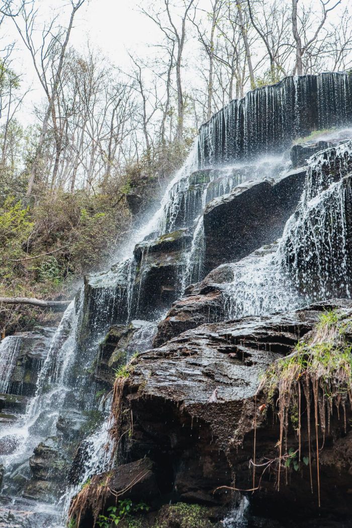 Hike to Yellow Branch Falls [Trail Guide]