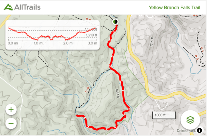 Hike to Yellow Branch Falls [Trail Guide]