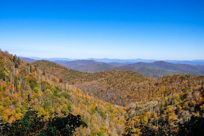 Where to See Fall Foliage Near Greenville, SC in 2023